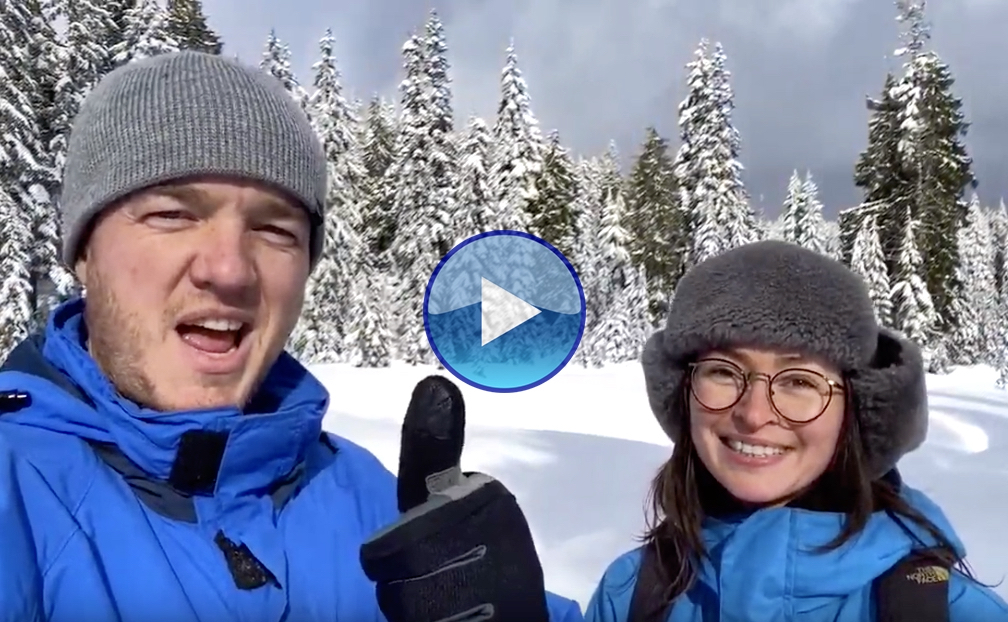 JESSI’S Winter 2020 Real Estate Update